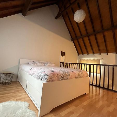 Le Mortier D'Or Duplex Hyper Centre Ville Troyes Esterno foto