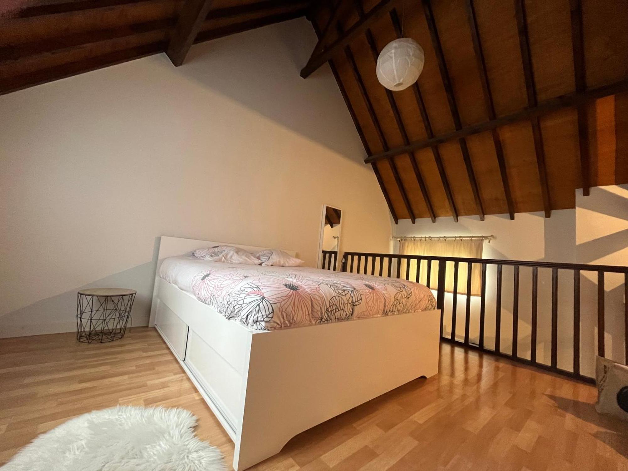 Le Mortier D'Or Duplex Hyper Centre Ville Troyes Esterno foto